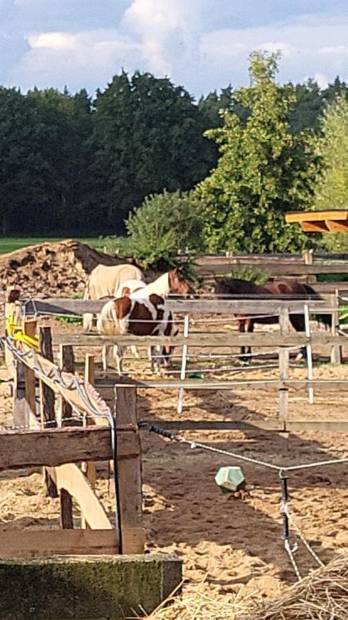 Pferdeparadies Calm River Ranch Wedemark Esterno foto